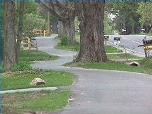 Pic Comm Pathwayburtonst