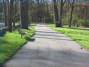 Pic Comm Pathwaywycliffe