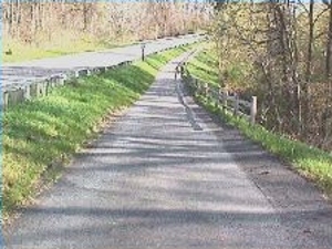 Pic Comm Pathwaythornhill