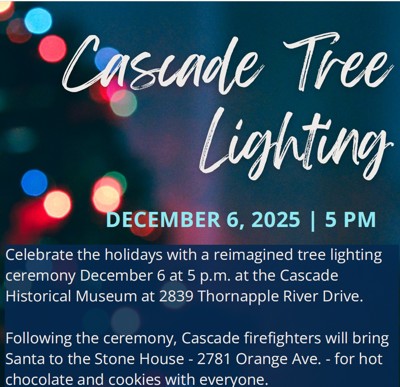 Tree Lighting